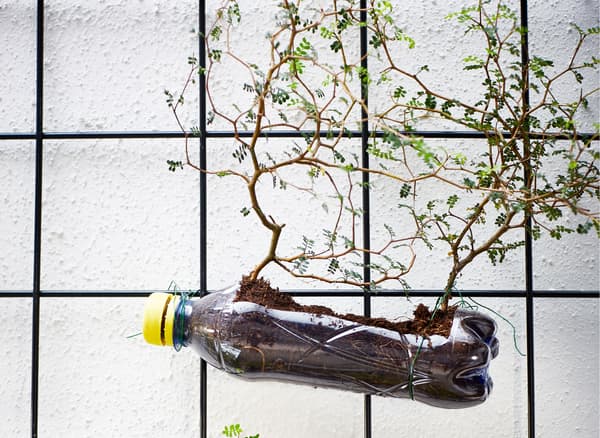Bouteilles de soda en plastique attachées à des treillis métalliques et remplies de terre pour servir de pots à des plantes.