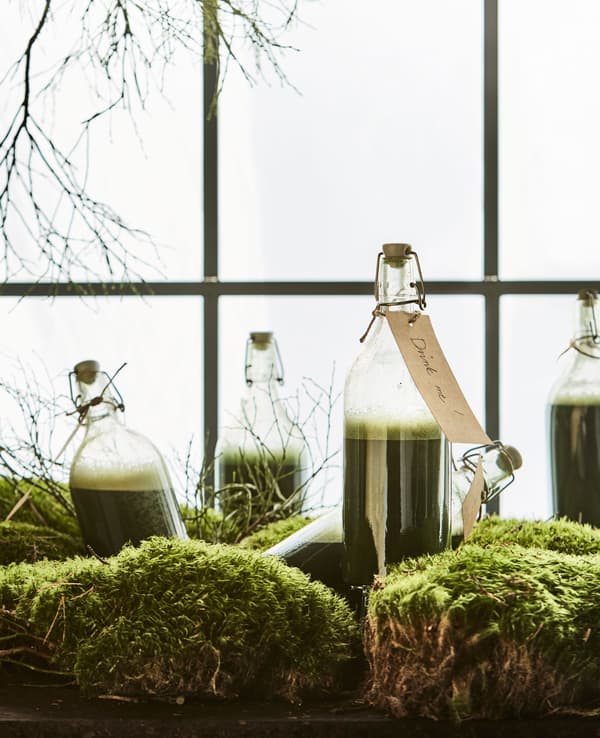Bouteilles en verre remplies de jus vert posées sur un appui de fenêtre au milieu de mousse et de branches.