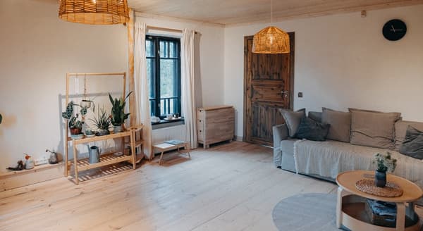 Bright Scandinavian-style living room with plants, wooden furniture, and rustic door decor.