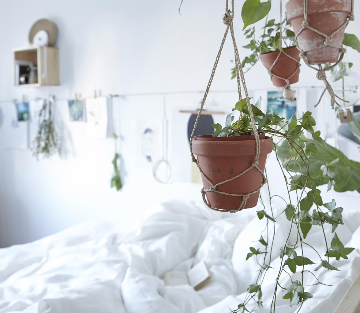 Bring some green to your bedroom by hanging potted plants around the bed.