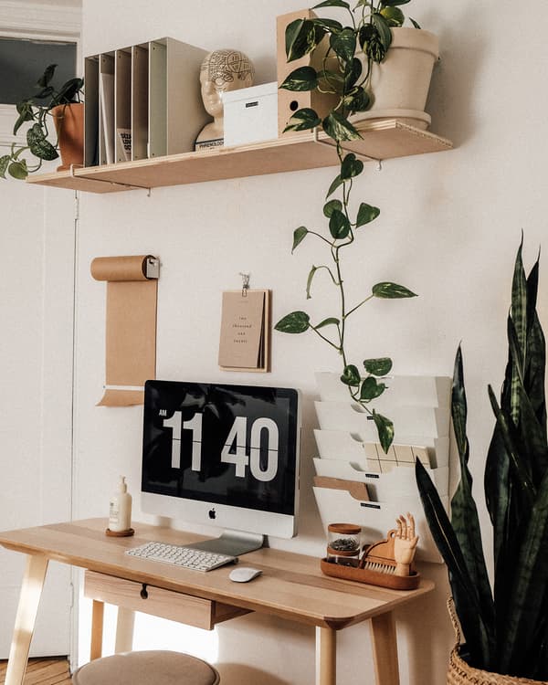 Bureau LISABO avec finition en frêne et plantes décoratives.
