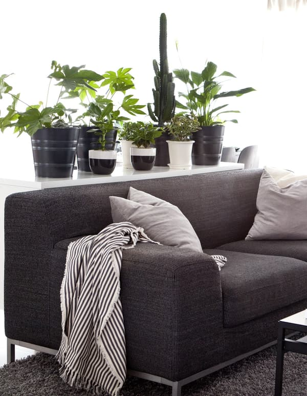 Canapé gris foncé avec coussins et plaid à rayures avec, derrière, un buffet décoré d’une rangée de plantes en pots.