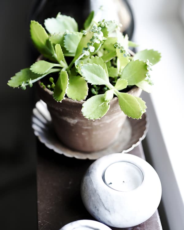 Candles and plants help stimulate creative thinking.