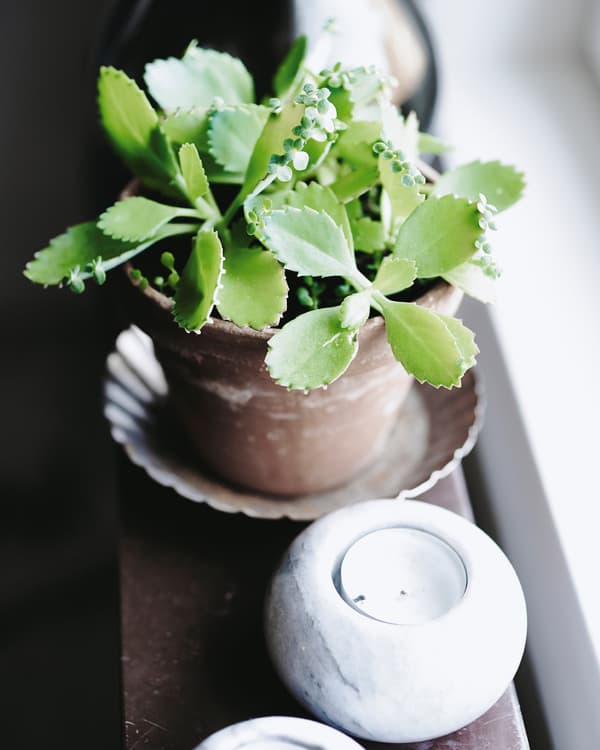 Candles and plants help stimulate creative thinking.