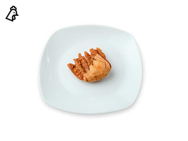 Chicken Wonton