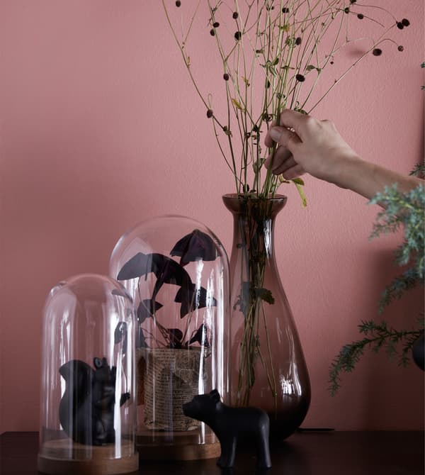 Cloches en verre et vase avec fleurs et plantes.