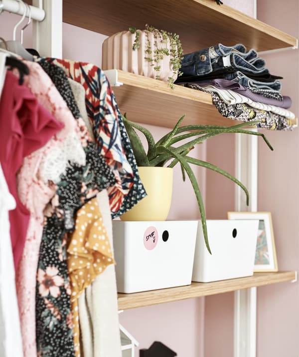 Close up of open storage shelves filled with clothes, plants and boxes.