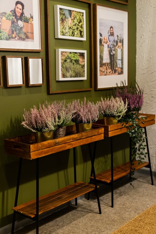 Close-up of wooden console tables with potted purple heather plants