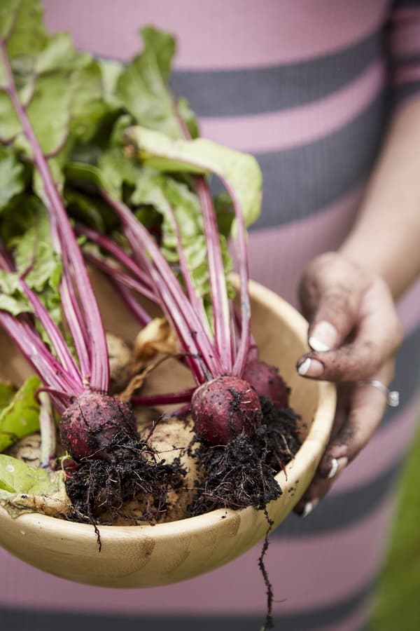 Close-up photograph of beetroots in a bowl. 