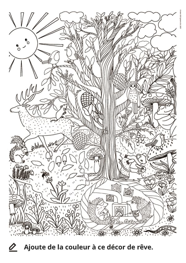 Coloriage d'une forêt