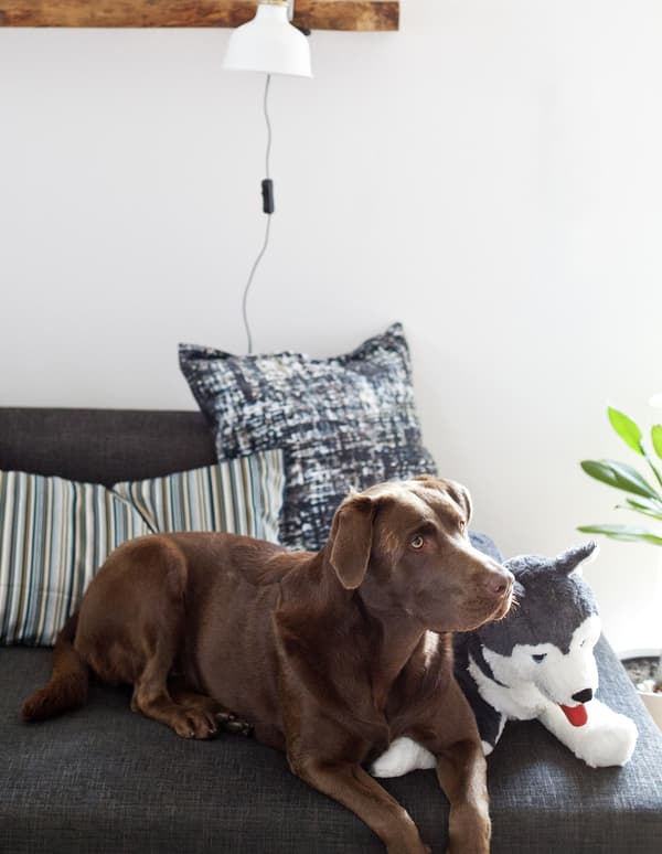 Create a cosy spot for the whole family 