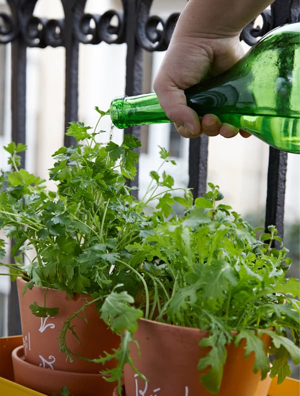 Create a kitchen garden just outside a window with fresh herbs.