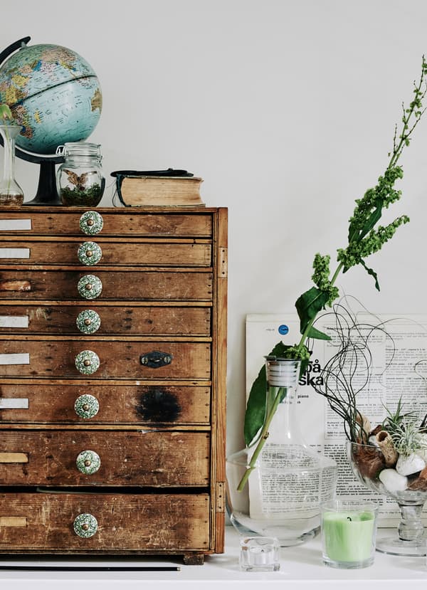 Créez des tableaux décoratifs avec des plantes vertes