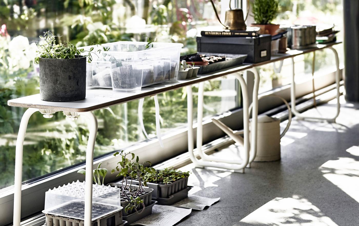 Créez une impression d’extérieur à l’intérieur en remplissant votre maison de plantes
