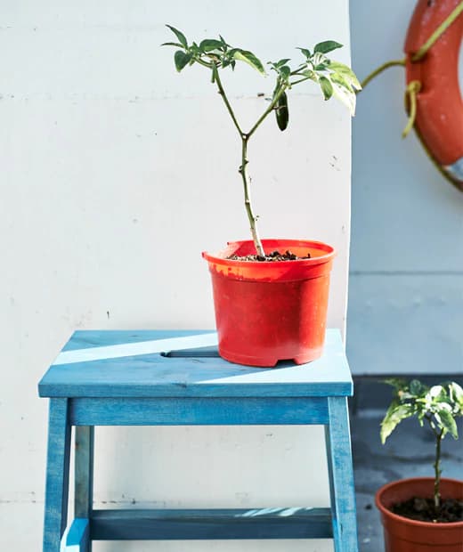 customise-the-ikea-bekvaem-step-stool-with-paint