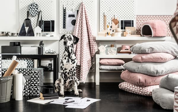 Dalmata seduto dritto circondato da mobili, tessuti e accessori per animali abbinati in base al colore - IKEA