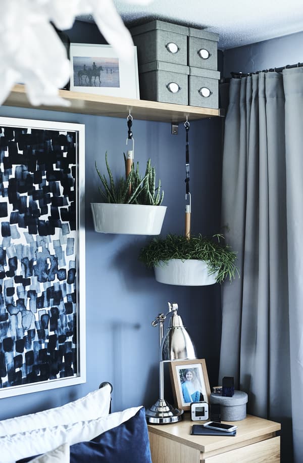 Dark blue bedroom wall with high shelf and two hanging plants containers