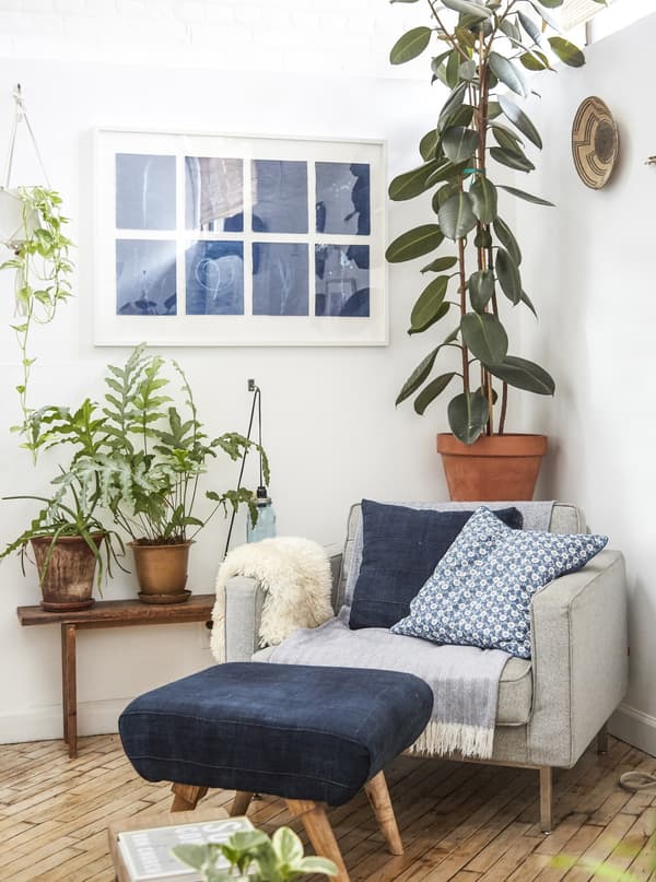 Des plantes et un fauteuil garnissent un coin du séjour.