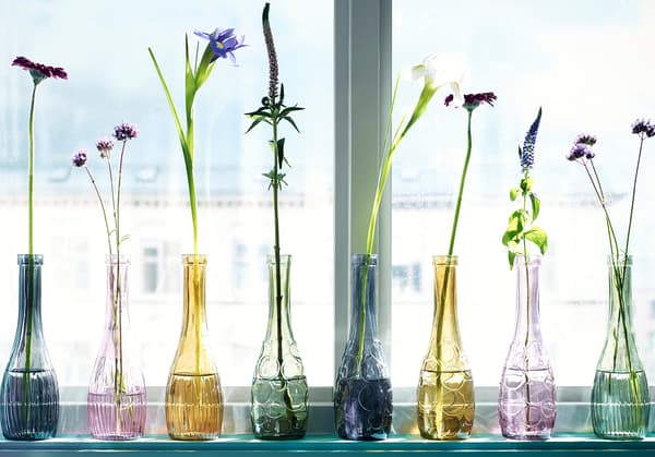 Different coloured vases lined up on a windowsill and each is filled with a single flower.