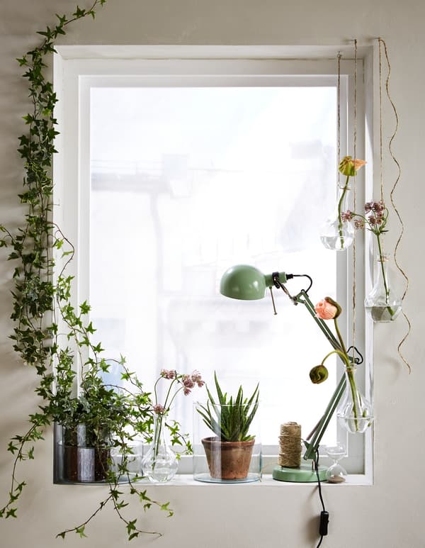 Différentes fleurs coupées et plantes vertes dans des vases VILJESTARK, formant dans la fenêtre un cadre vert et lumineux.