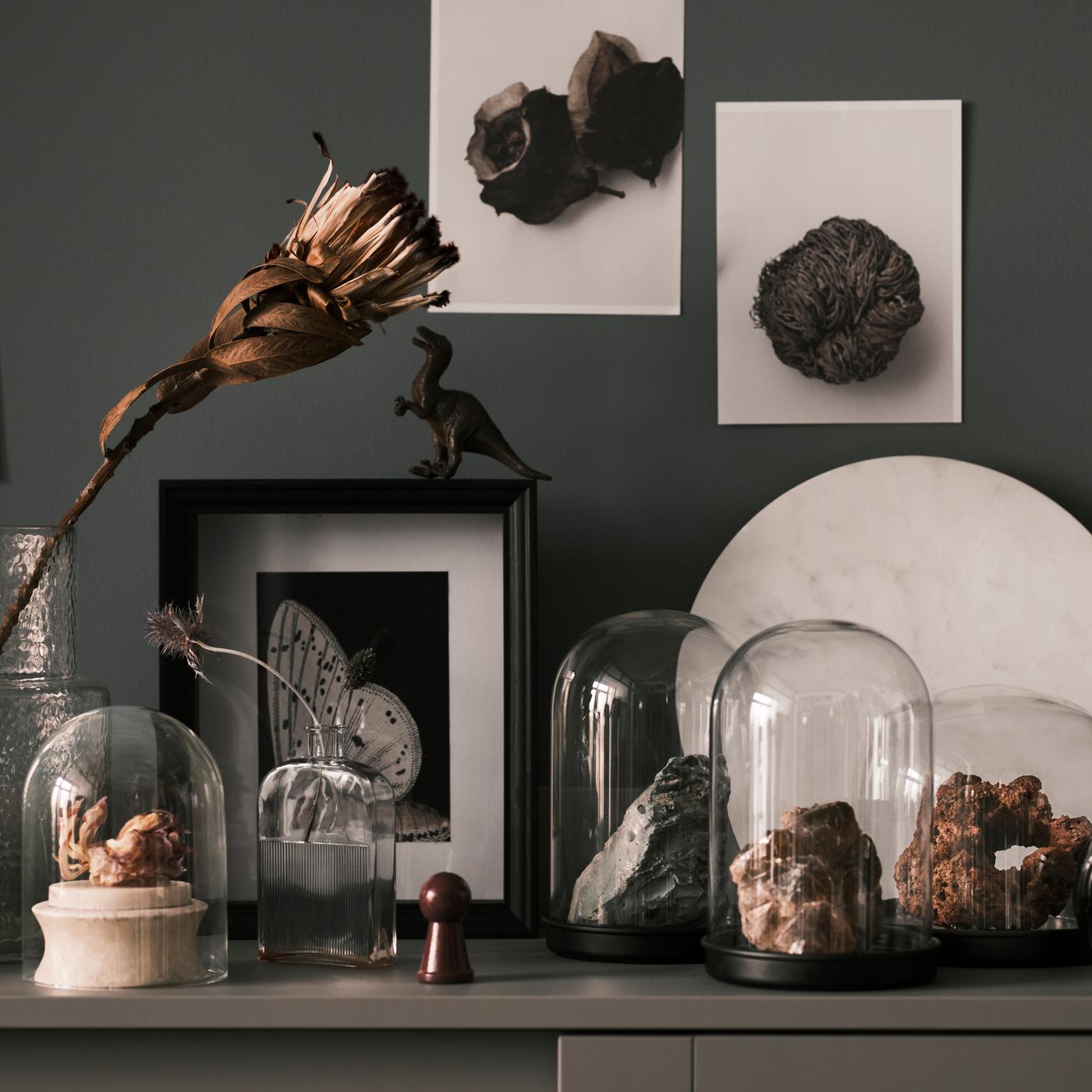 Différentes roches présentées dans des cloches en verre SKÖNJA posées sur une vitrine HAUGA grise, à côté d’une fleur dans un vase en verre.