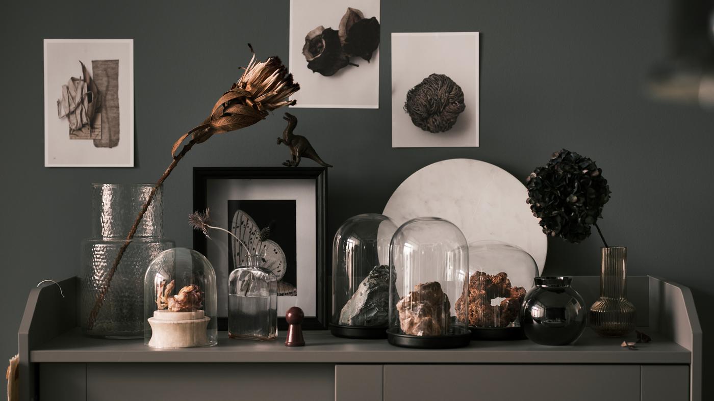 Différentes roches sont dans des cloches de verre SKÖNJA, sur une vitrine HAUGA grise à côté d’une fleur dans un vase en verre.