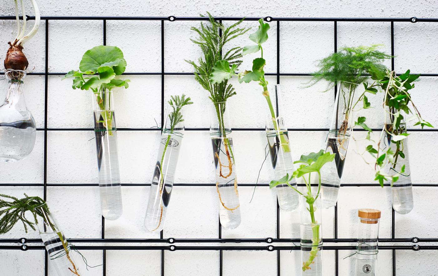 Divers treillis en fil fixés à un mur, servant de galerie à une série de petits flacons en verre garnis de plantes