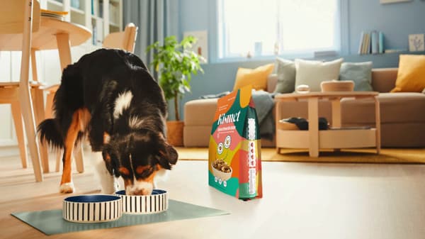 Dog eating food from bowl