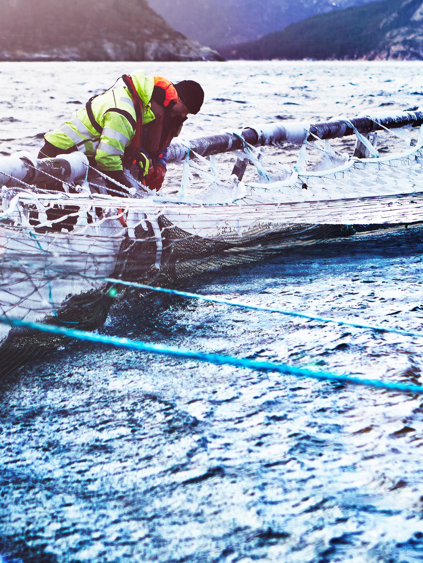Dos trabajadores de una piscifactoría de salmón vestidos con ropa pesada de exterior cuidando un recinto de peces en una piscifactoría noruega.