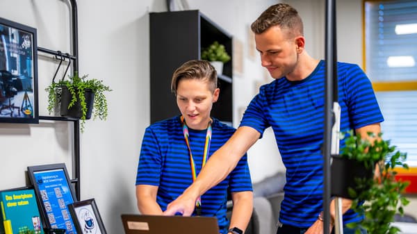 Due persone in camicia a righe blu lavorano insieme su un laptop in un ufficio moderno, con piante e quadri incorniciati sullo sfondo.