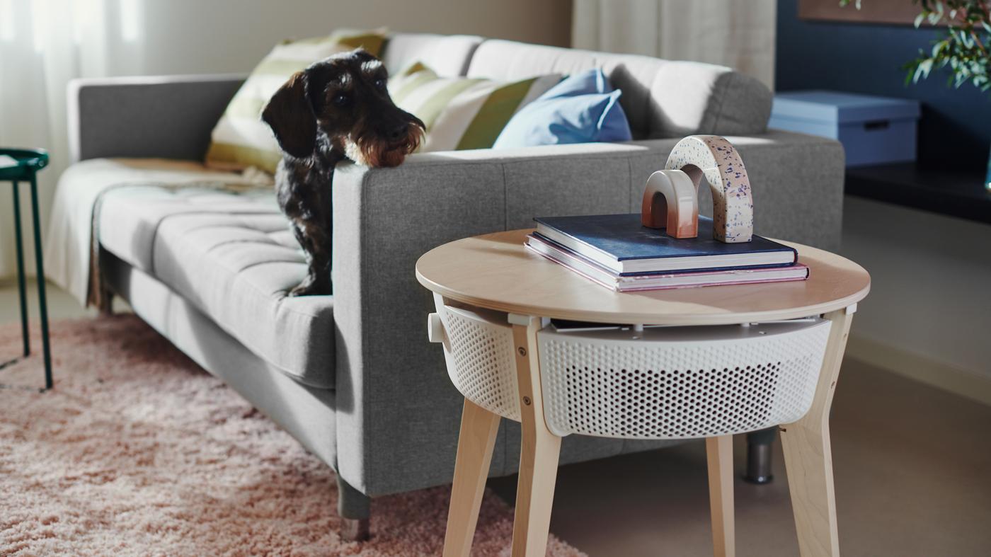 Ein Hund liegt mit seinem Kopf auf der Armlehne eines LANDSKRONA Sofas und schaut auf den STARKVIND Tisch mit Luftreiniger.