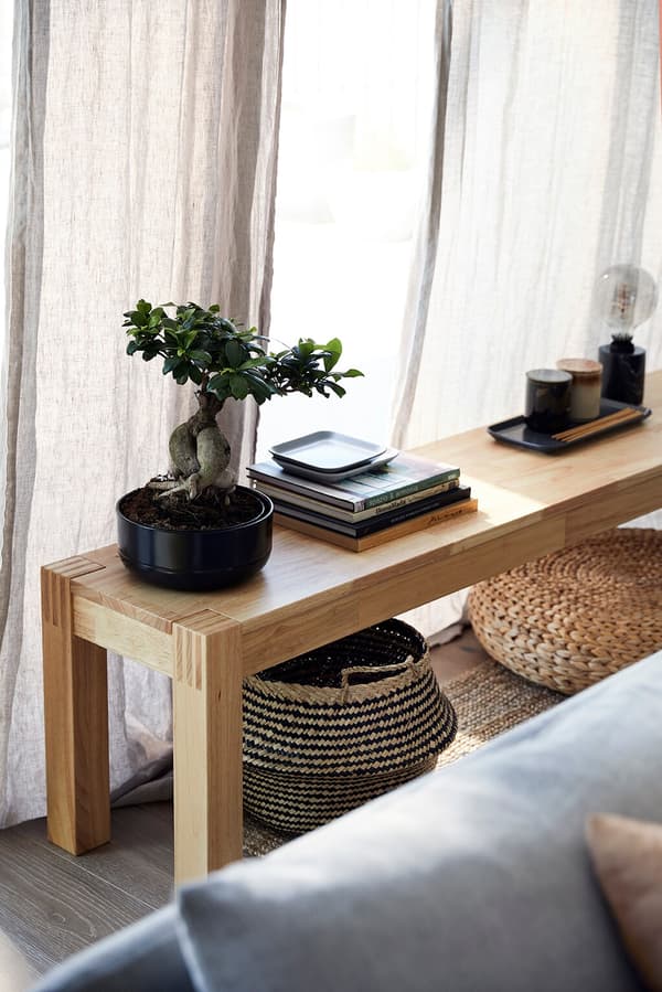 EIne Holzbank mit Büchern darauf und einem Blumentopf mit einem Bonsai