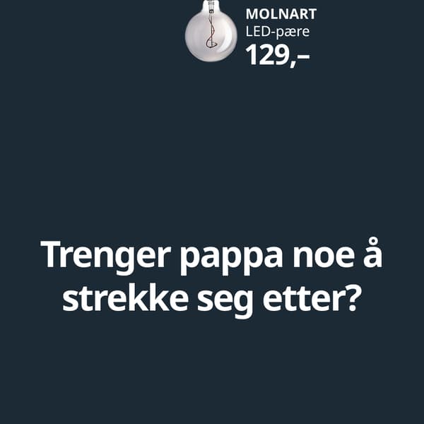 En pappavits på farsdagen med bilde av MOLNART LED-pære med teksten Trenger pappa noe å strekke seg etter?