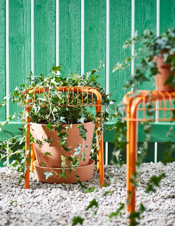 En potteplante, som er placeret inder en stol