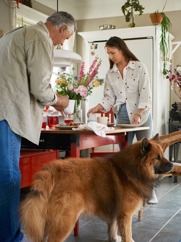 En primer plano se ve un perro dentro de una casa, frente a una mesa de comedor. En la mesa hay dos personas arreglando los preparativos para una comida.