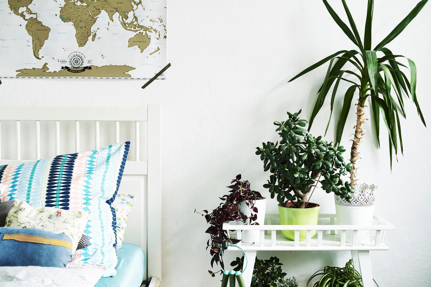 Encourage kids to create their ideal bedroom.