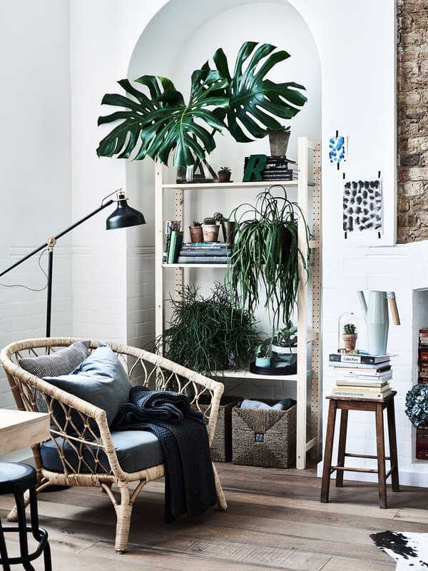 Espace de vie de couleur neutre avec bois clair et plantes.