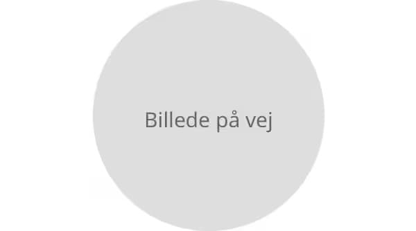 Et midlertidigt billede af Britta Stiepel, Country People & Culture Manager (HR), IKEA Danmark.