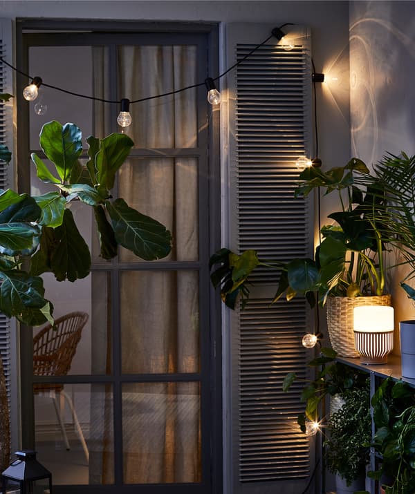 Extérieur nocturne avec la porte d’un balcon avec volets, entourée de plusieurs plantes, guirlande lumineuse et lampe LED.