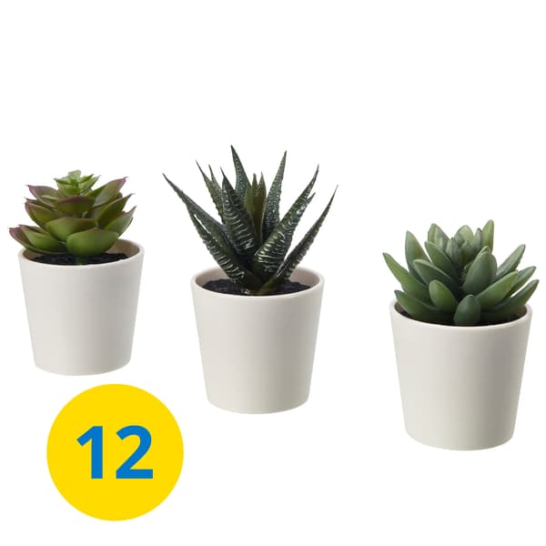 FEJKA artificial potted plant with pot.