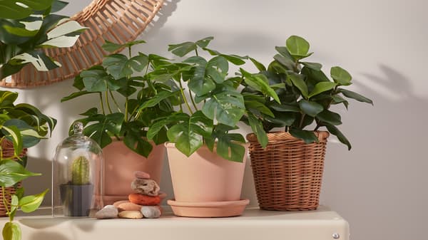 FEJKA – No green thumbs required.