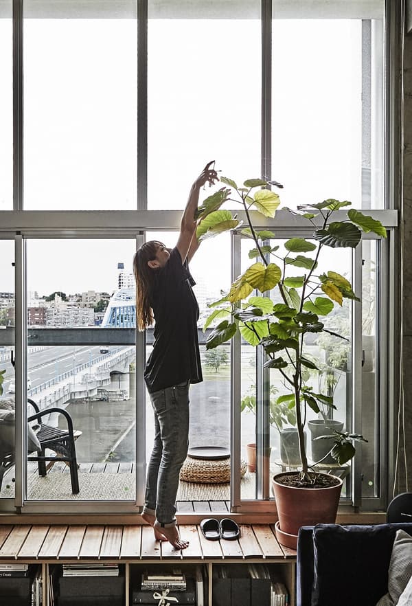 Femme en train d’arroser une grande plante devant une fenêtre.
