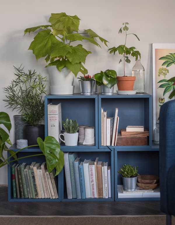 Five blue cabinets are stacked on a living room floor and hold books and plants inside, and plants on top.
