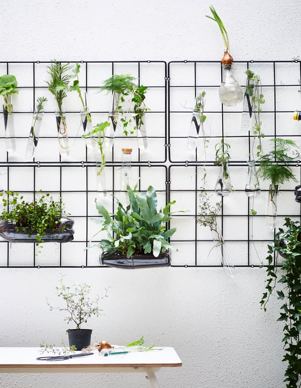 Flere espalier af trådnet hænger på en væg og udstiller planter i små glas