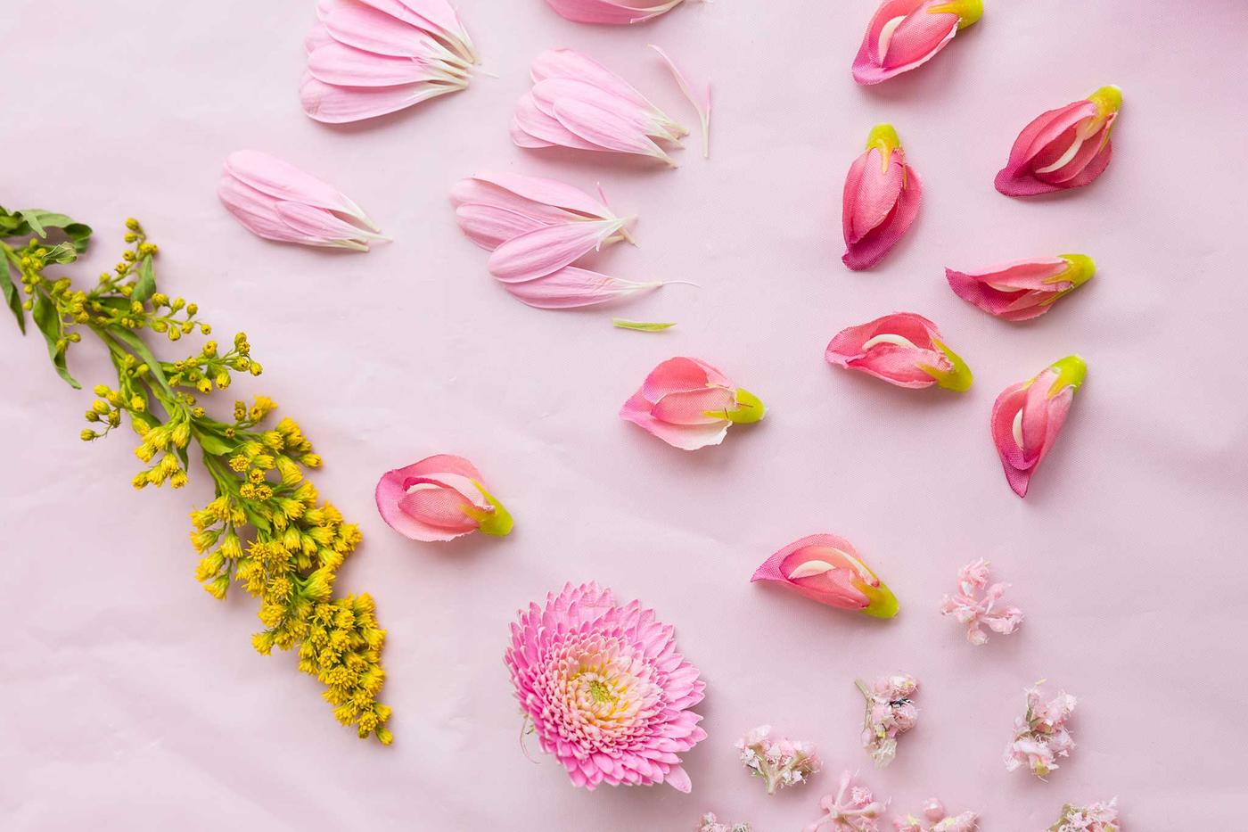 Fleurs qui ne fanent jamais