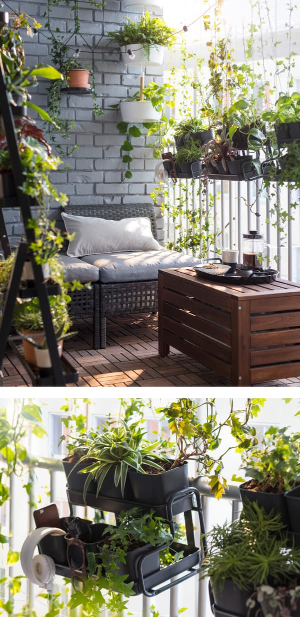 Flower boxes and plant pots hanging from a balcony rail for a decorative garden