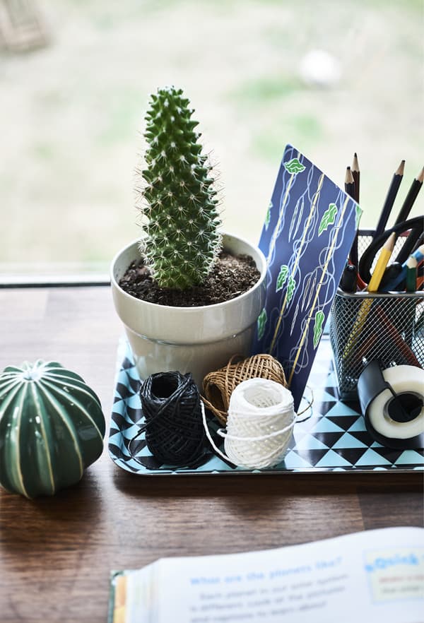 Fournitures et cactus en pot sur un petit plateau.