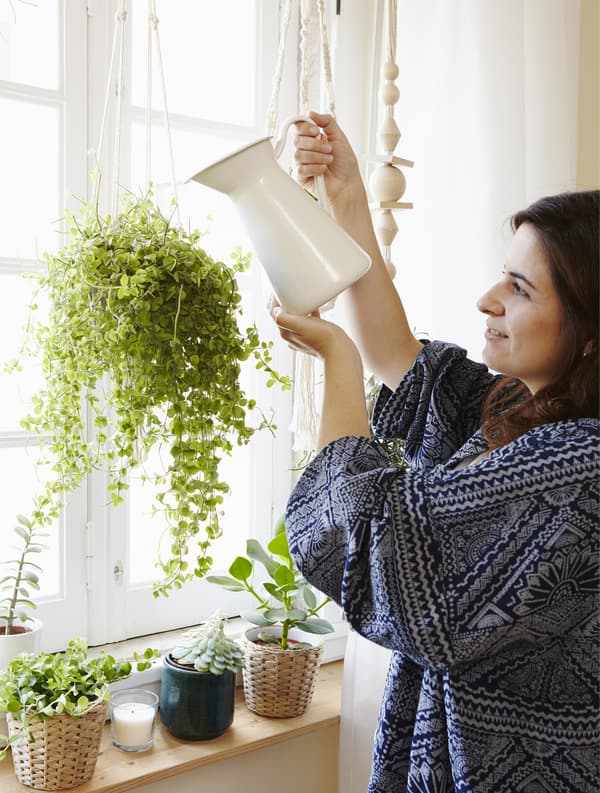 Get Andreia’s plant-care tips