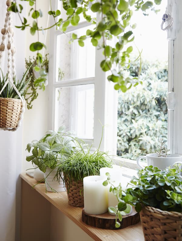 Give your room a new view