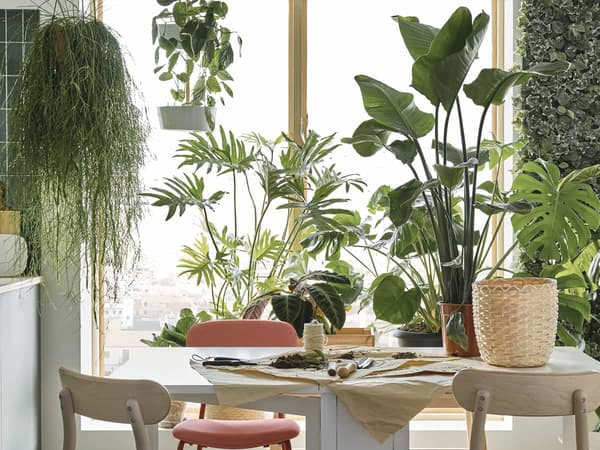 Go natural by decorating with plants